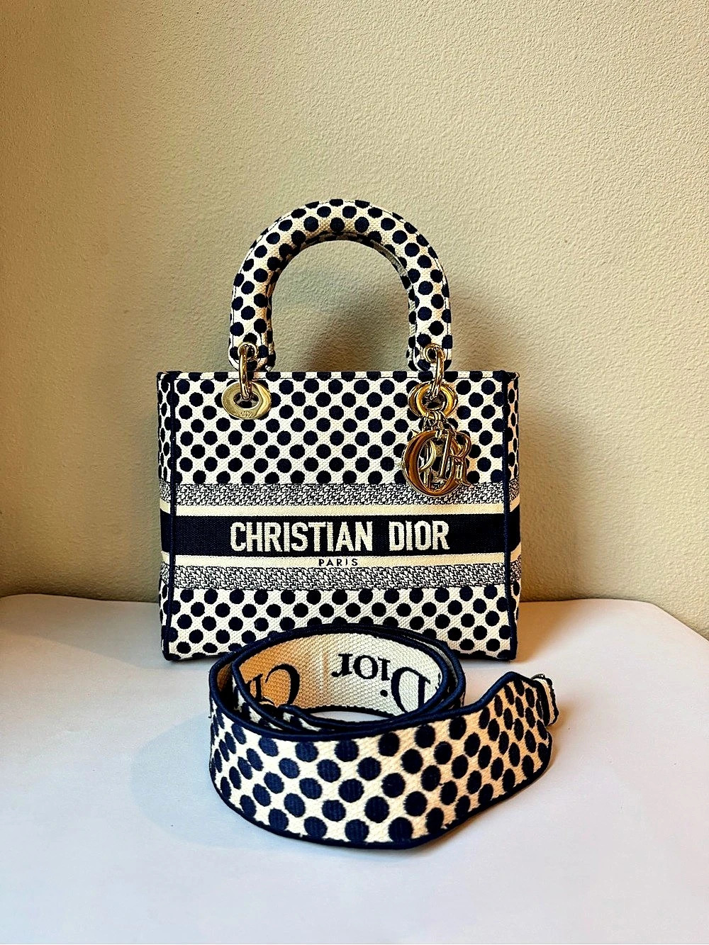 Christian Dior Blue Polka Dot Embroidery Canvas Medium Lady D-Lite Bag